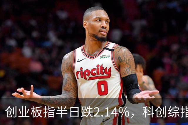 创业板指半日跌2.14%，科创综指跌3.71%，多只沪深300ETF集中放量