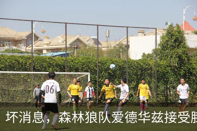 坏消息，森林狼队爱德华兹接受膝关节镜手术，将缺席两个月