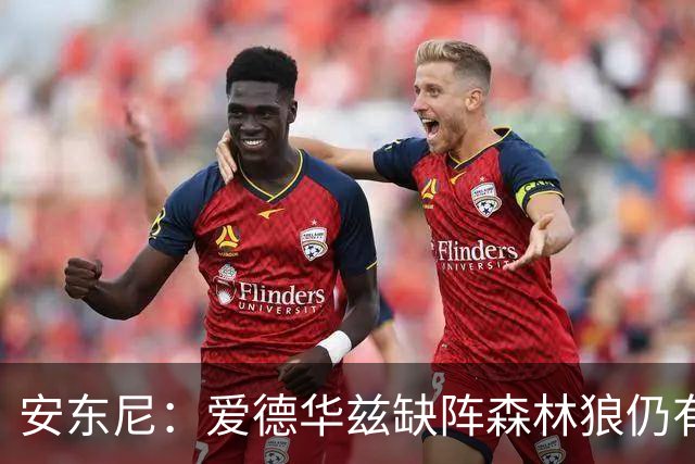 安东尼：爱德华兹缺阵森林狼仍有竞争力 现在该由三球带队赢球