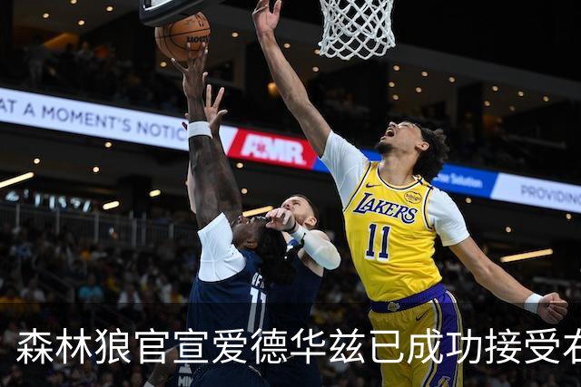 森林狼官宣爱德华兹已成功接受右膝关节镜手术