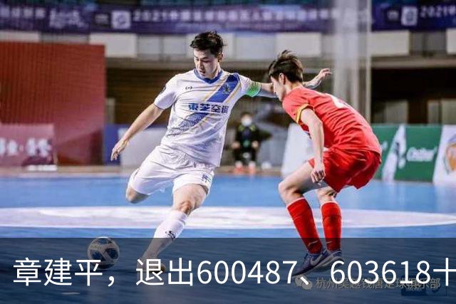章建平，退出600487、603618十大股东