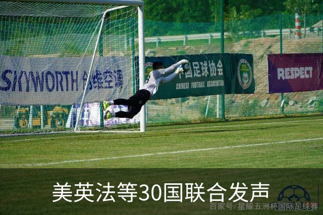 美英法等30国联合发声
