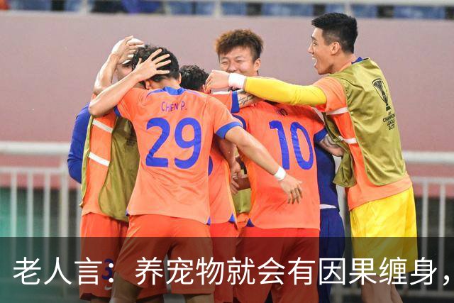 老人言：养宠物就会有因果缠身，这3件事养猫人需要知的冥界规则