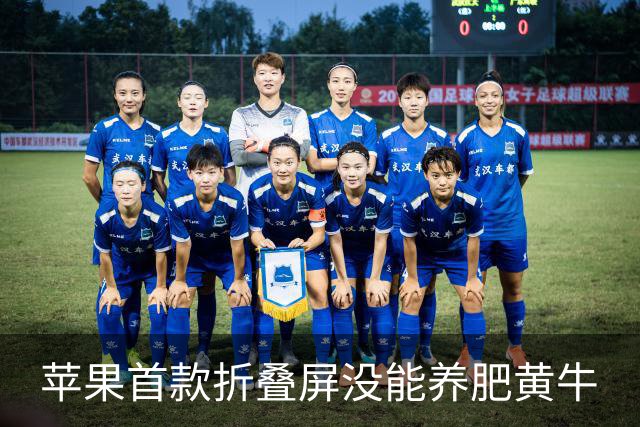苹果首款折叠屏没能养肥黄牛