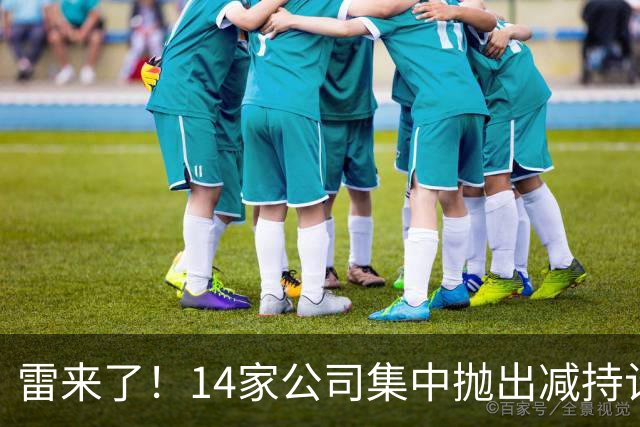 雷来了！14家公司集中抛出减持计划，有你的持仓吗？